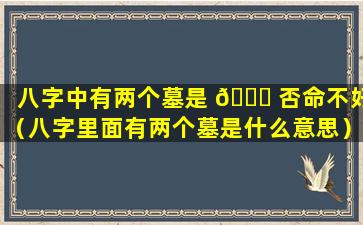 八字中有两个墓是 🐝 否命不好（八字里面有两个墓是什么意思）